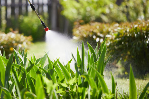 24/7 Emergency Mosquito Control experts in New River, AZ
